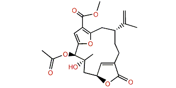 7-Acetylsinumaximol B